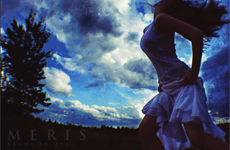 Meris &ndash; Abandon All