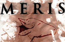 Meris &ndash; Demo 2