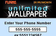 FunMo WAP